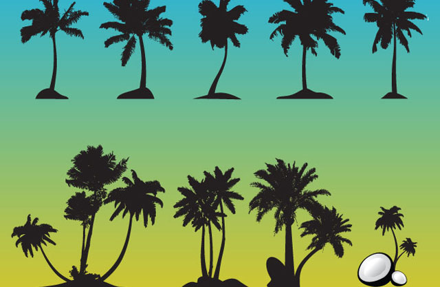 Palm Tree Vectors Tree Vector