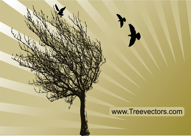 Vector Tree Silhouette with Birds Vector Tree Silhouette with Birds Tree Vector